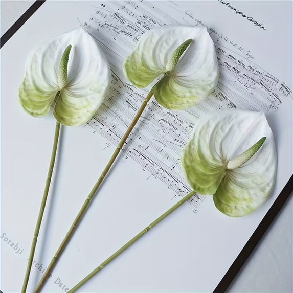 This 5-piece set includes artificial red palm leaf flowers with long latex stems. They can be used for decorating homes, gardens, bouquets, weddings, engagements, and parties.