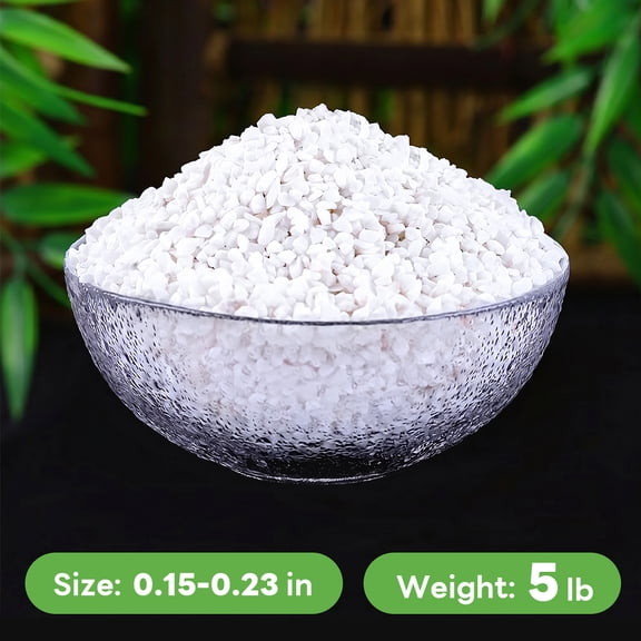 Putikeeg 5 lb White Decorative Stones for Indoor Plant Vase Succulent Pebbles
