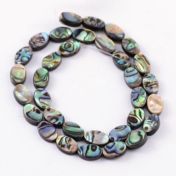5 strand Natural Abalone Shell/Paua Shell Beads Strands Oval Colorful 12x8x3mm Hole: 0.5mm