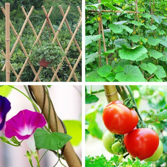 5' x 1/2'', 40pcs, bamboo stake