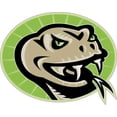 thumbnail image 1 of 5 x 4 Right-Facing Green Viper Sticker Vinyl School Mascot Decal Stickers, 1 of 1