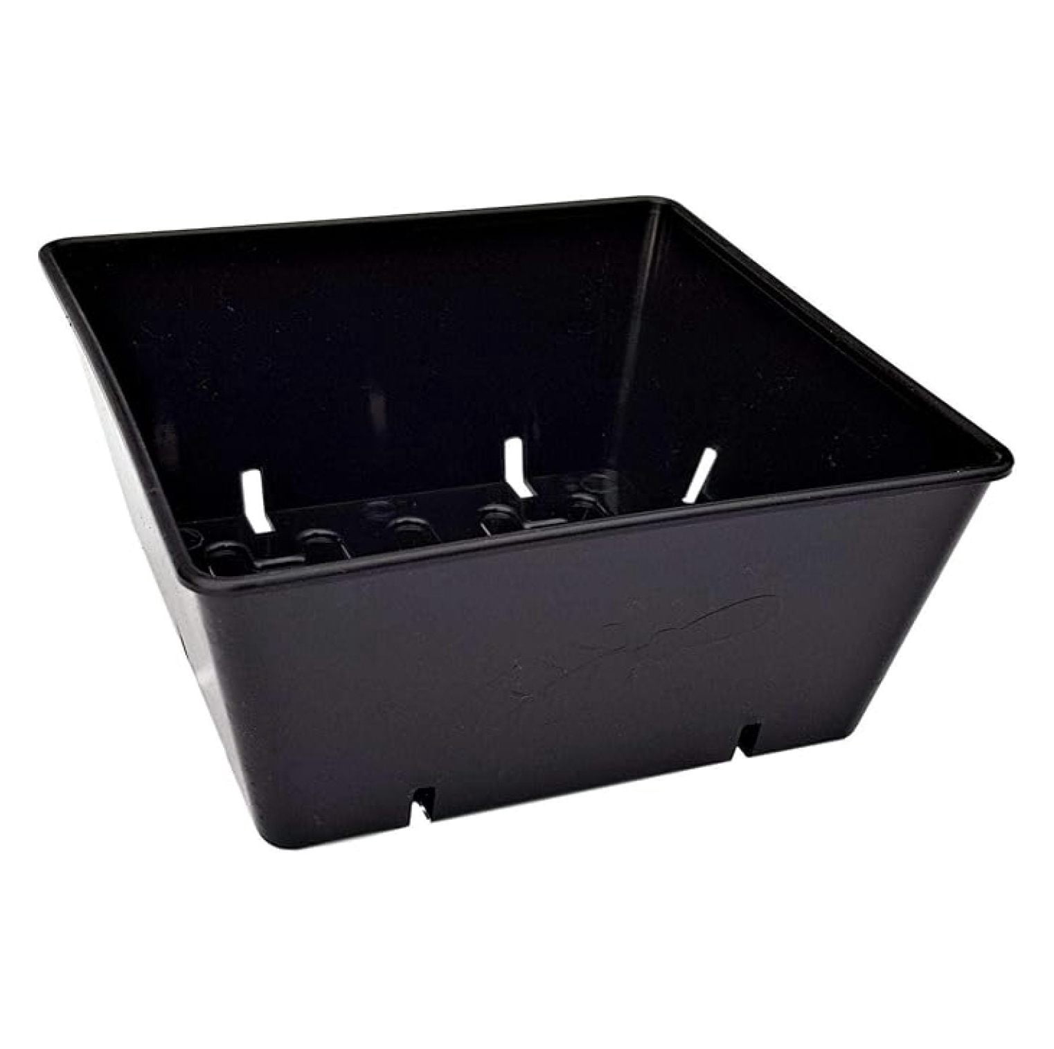 5 x 5 Seed Tray Inserts Extra Strength, 40 Pack Black, Grow Microgreens ...