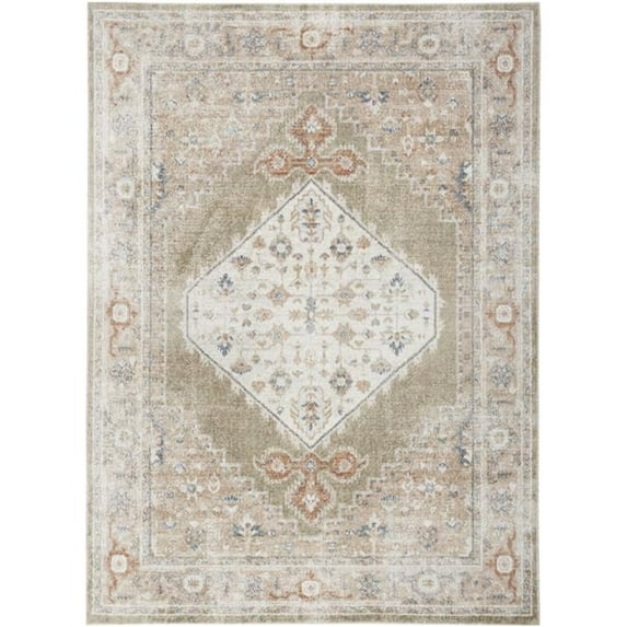 5 x 7 ft. Sage Oriental Traditional Power Loomed Distressed Washable Rectangle Area Rug