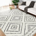 thumbnail image 1 of 5'x7' Area Rugs for Living Room, Machine Washable Non-Slip Carpet, Soft Faux Wool Low Pile Moroccan Farmhouse Western Rug, Black and White, 1 of 5