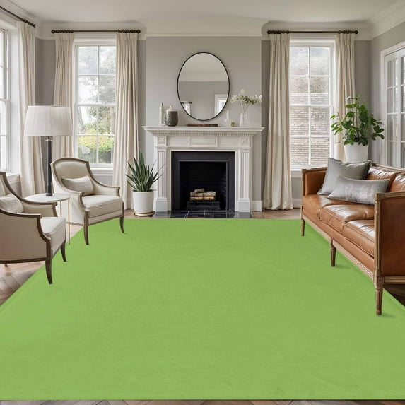 5'x7' Area Rugs, Avocado Green Indoor Outdoor Area Rug for Living Room Bedroom, Solid Color Farmhouse Green Washable Bathroom Rugs Kitchen Floor Carpet Mats Home Decor Aesthetic