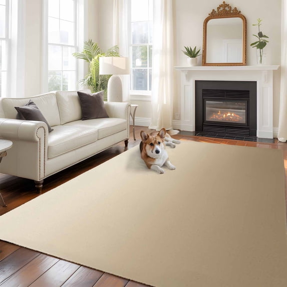 5'x8' Area Rugs, Brown Beige Indoor Outdoor Area Rug for Living Room Bedroom, Gradient Monochrome Modern Country Washable Bathroom Rugs Kitchen Floor Carpet Mats Home Decor Aesthetic