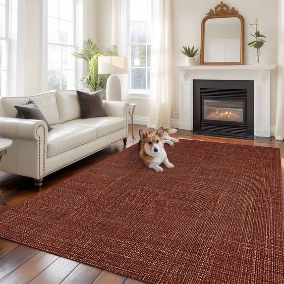 5'x8' Area Rugs, Dark Brown Indoor Outdoor Area Rug for Living Room Bedroom, Vintage Country Monochrome Chocolate Color Washable Bathroom Rugs Kitchen Floor Carpet Mats Home Decor Aesthetic