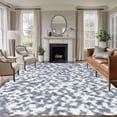 thumbnail image 1 of 5'x8' Area Rugs, Grey White Indoor Outdoor Area Rug for Living Room Bedroom, Modern Geometric Gray Ombre Abstract Art Washable Bathroom Rugs Kitchen Floor Carpet Mats Home Decor Aesthetic, 1 of 8