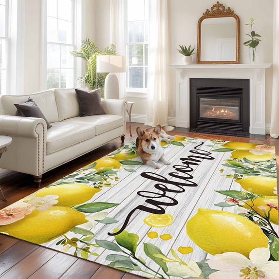 5'x8' Area Rugs, Lemon Farmhouse Indoor Outdoor Area Rug for Living Room Bedroom, Summer Fruit Botanical Grey Wooden Washable Bathroom Rugs Kitchen Floor Carpet Mats Home Decor Aesthetic