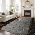 thumbnail image 1 of 5'x8' Area Rugs, Ombre Gray Geometric Indoor Outdoor Area Rug for Living Room Bedroom, Modern Abstract Art Washable Bathroom Rugs Kitchen Floor Carpet Mats Home Decor Aesthetic, 1 of 8
