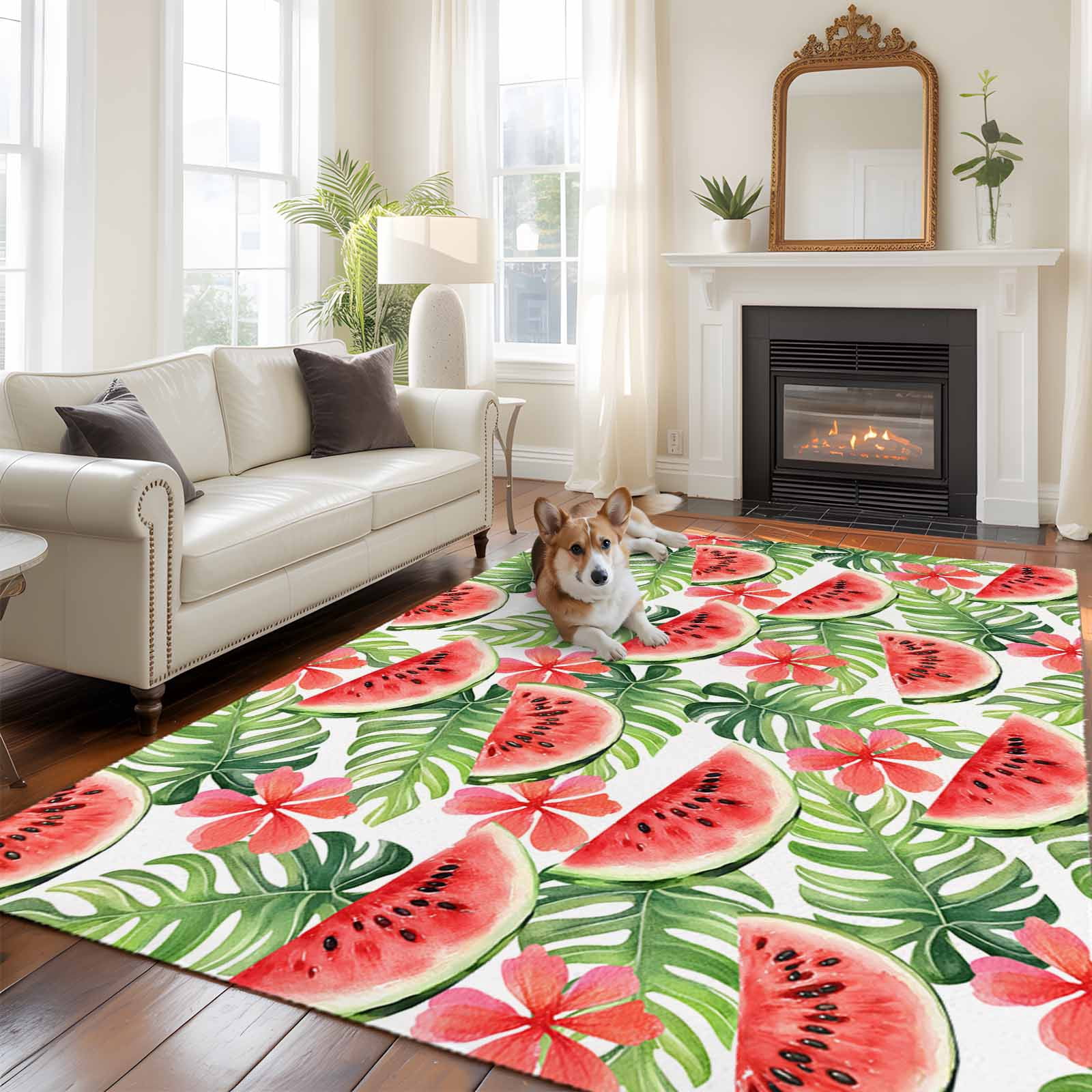 5'x8' Area Rugs, Watermelon Indoor Outdoor Area Rug for Living Room ...