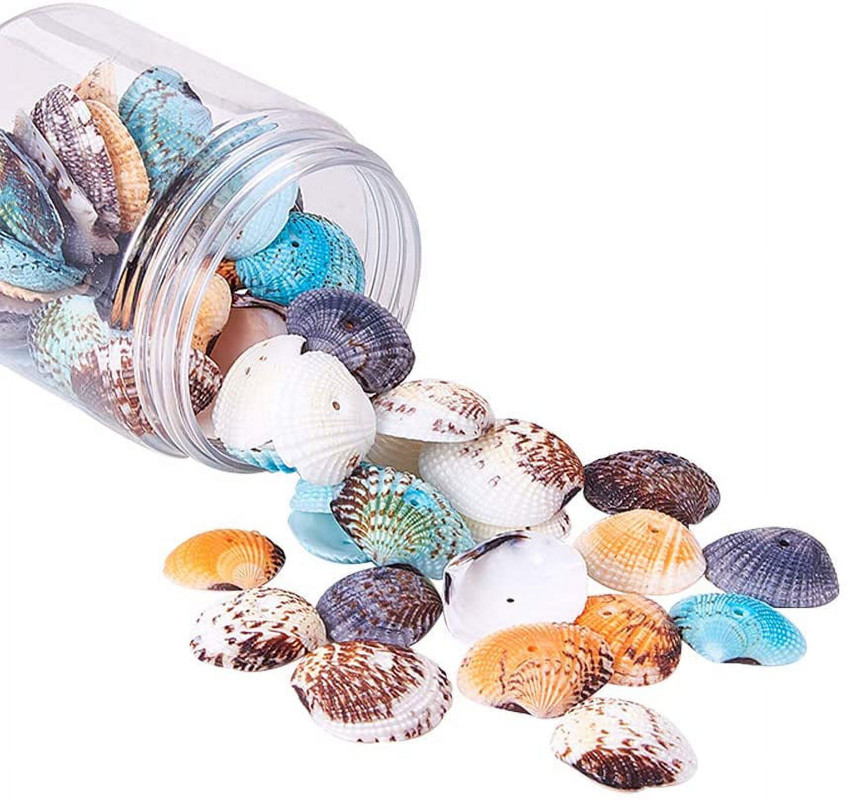Cousin DIY Sea Life Bulk Charm Assortment, 50 Pc. Silver Metal, Jewelry  Making Pendants for Adults
