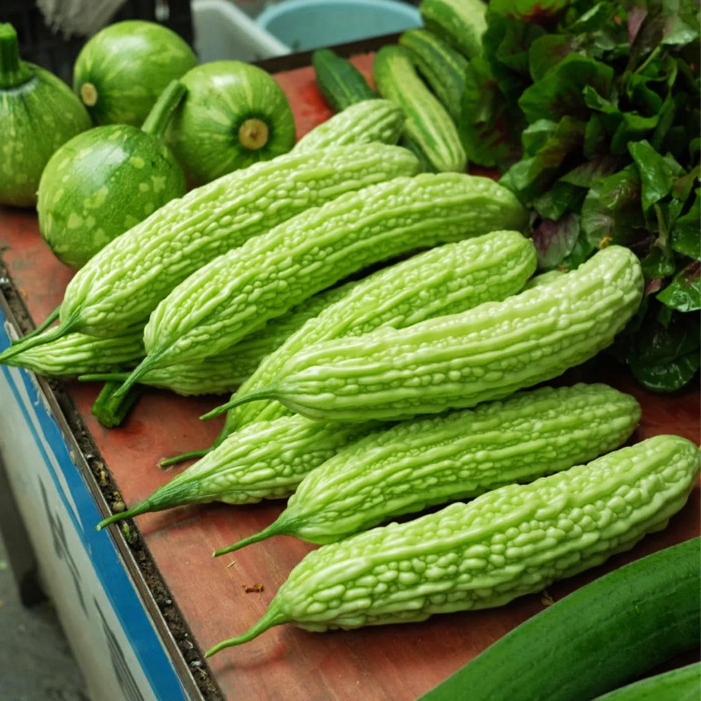 50+ Bitter MelonITSC Seeds 8-12 inches Fast Growing Bitter Gourd Green ...