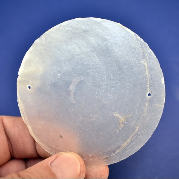 50 Capiz Shells White Round Cut 3" Diameter (76 mm) - Two Holes - For Crafts Windchimes Ocean Art