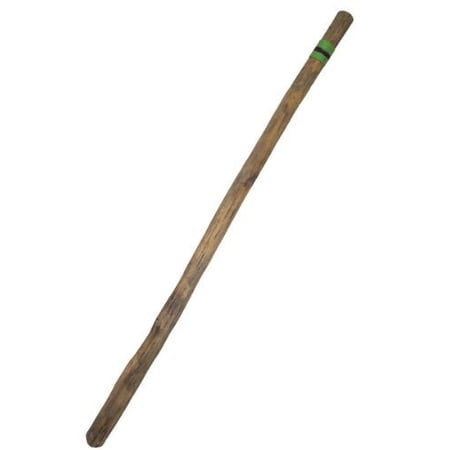 50" Chilean Cactus Rain Stick Musical Instrument - Extra long! by Africa Heartwood Project