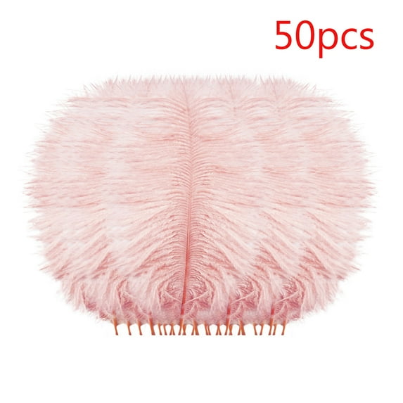 50 Colorful Ostrich Feathers, Large Feathers, Wedding Background Wall Decoration, Internet Red Wall, White And Pink Feathers, Flower Arrangement 15-20Cm W office supplies