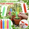 thumbnail image 1 of 50-Count Waterproof Reusable Plant Labels, Vibrant Green Gardening Tags With Smooth Writing Surface For Marking Herbs, Vegetables, Flowers In Outdoor Gardens, Indoor, 1 of 6