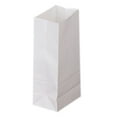 thumbnail image 1 of 50 Count - White Paper Bags for Packing Lunch & Snacks - Blank White Lunch Bags Paper for Arts & Crafts Projects9*5.5*18, 1 of 6