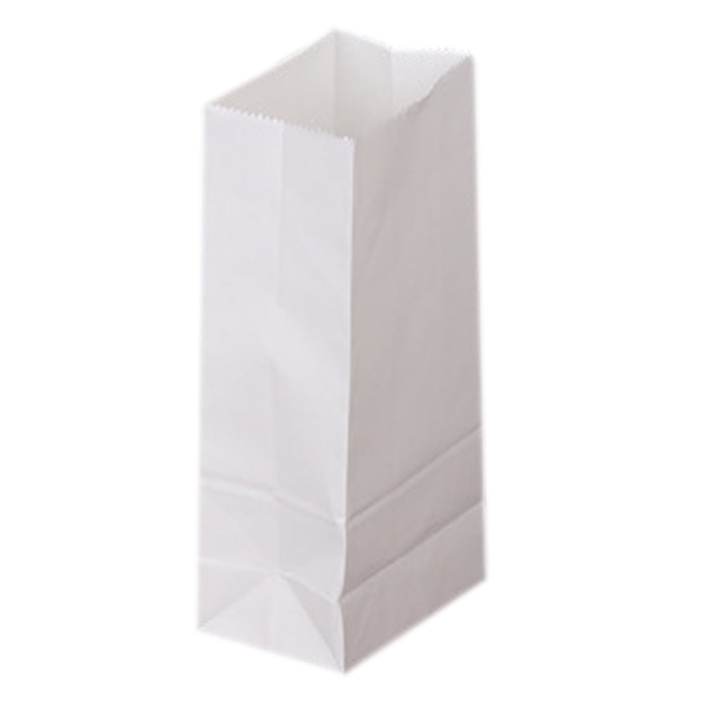 50 Count - White Paper Bags for Packing Lunch & Snacks - Blank White Lunch  Bags Paper for Arts & Crafts Projects