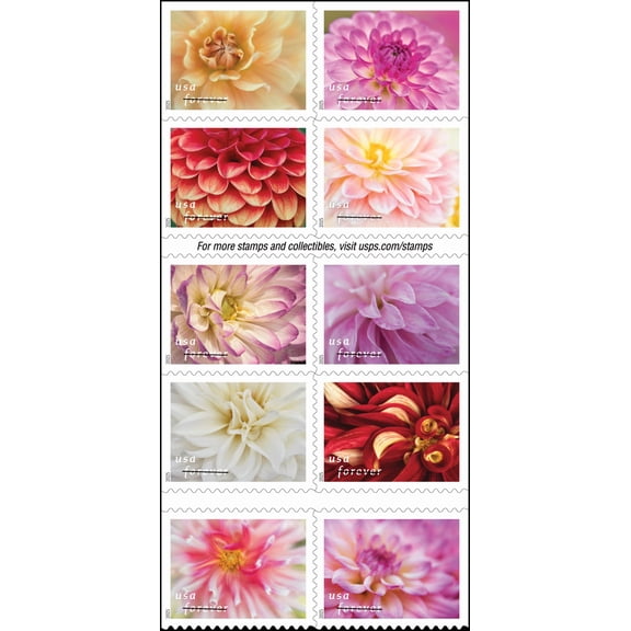 50 Dahlias USPS Forever Postage Stamp US First Class Celebrate Flower Announcement Wedding Holiday (50 Stamps)
