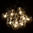 thumbnail image 1 of G50 Clear String Lights with Black Wire, 1 of 7