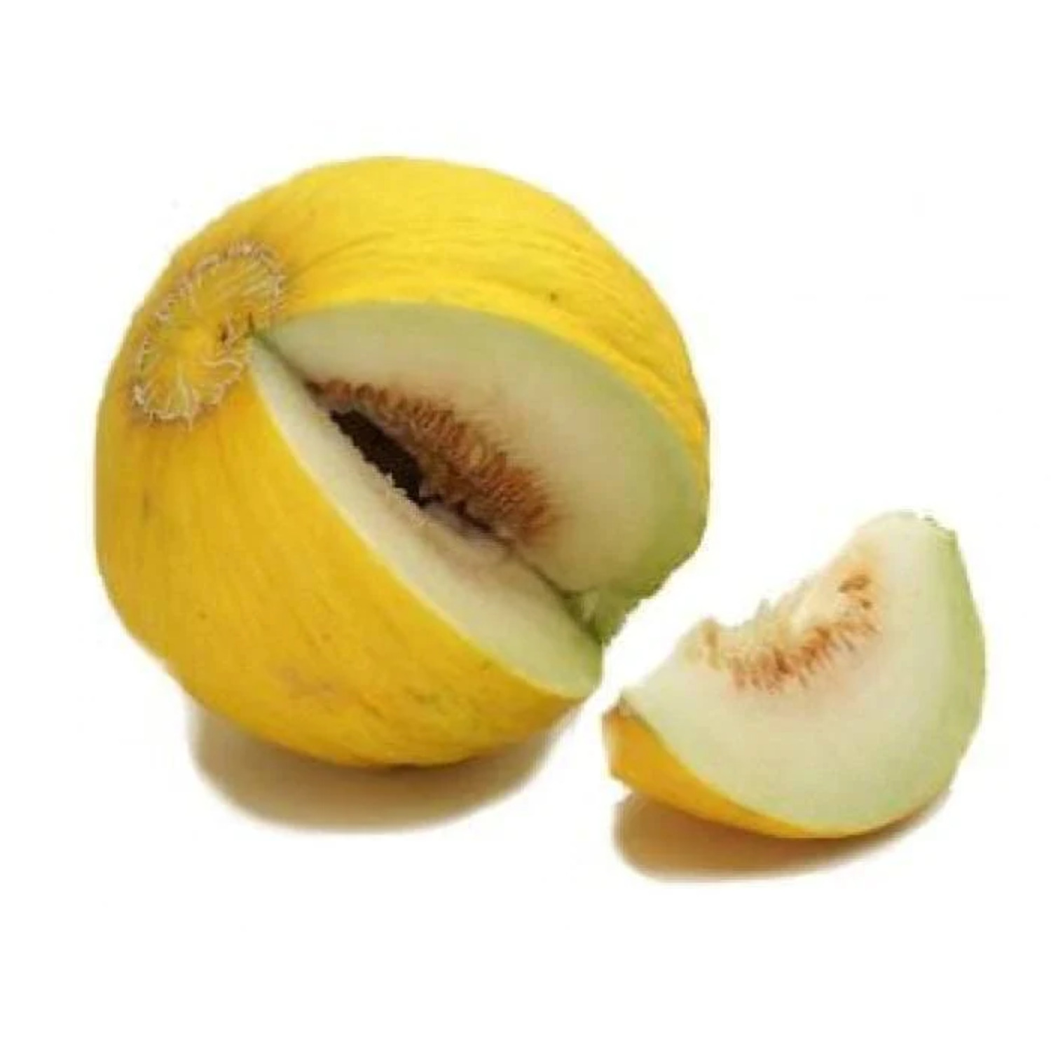 50 Seeds Golden Beauty CASABA MELON Cucumis Melo Fruit Seeds