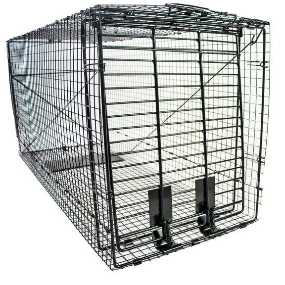 50 " Humane Way Foldable Metal Live Animal Trap - 50" x 20" x 26" - 2 Door