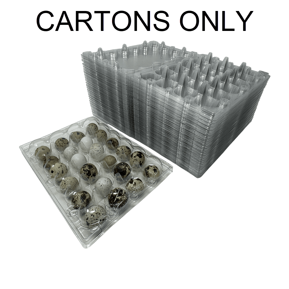 50 Jumbo Quail Egg Cartons for Coturnix Bobwhite Quail Two Dozen