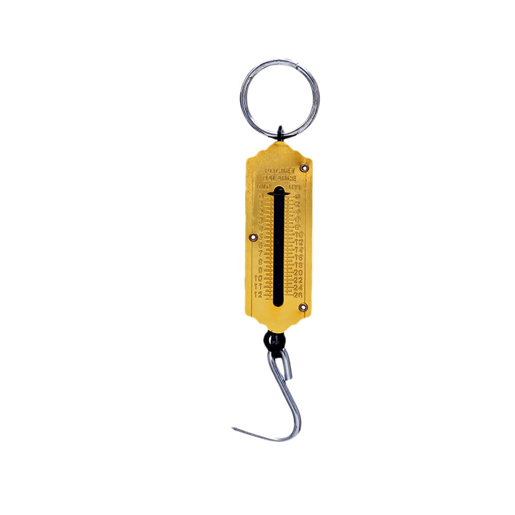 50 KG Weight Scale Hand Held Digital Hanging Scale Fishing Scale Grams Portable Weighing Tool Walmart