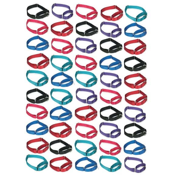 50 Martingale Dog Collar Bulk Packs Shelter Rescue Vet Assorted Colors Pick Size (Small - 10 to 16 inch)