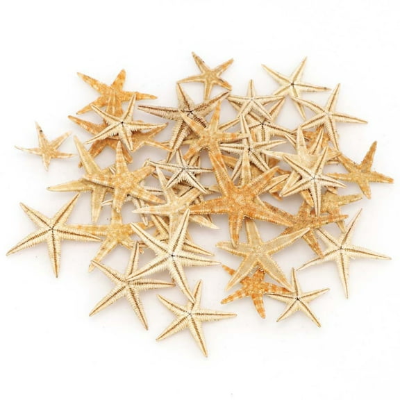 Desk Decor Kingtowag, Natural Starfish Micro Landscape Ornaments 100Pc, 1 Box of Starfish (100Pc), Home Decor Markdowns, Desk Ornaments