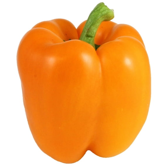 50+ Orange Bell Pepper Seeds | Non-GMO | Heirloom | Fresh Garden Seeds