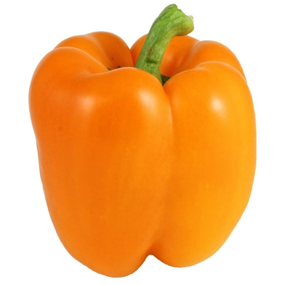 50+ Orange Bell Pepper Seeds | Non-GMO | Heirloom | Fresh Garden Seeds