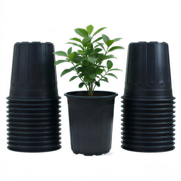 50-Pack 0.5 Gal Black Flexible Plastic Nursery Pots – Drainage Holes for Succulents, Cuttings & Home Garden Transplanting