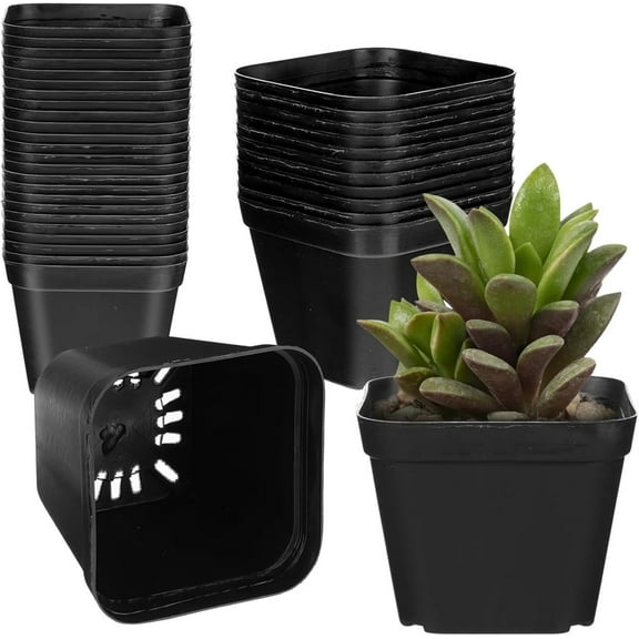 GIXUSIL 50 Pack 2 inch Heavy Duty Black Plant Starter Pots - Square PEP Plastic Seedling Trays for Nursery Bulk Growing