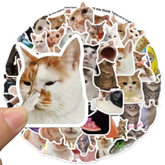 50-Pack 4 Inch Funny Cat Meme Stickers - Hilarious Cats With 50 Memes For Journaling, Scrapbooking, Diy Crafts, Party Decoration, Laptop Decals, Water Bottle Stickers, Phone