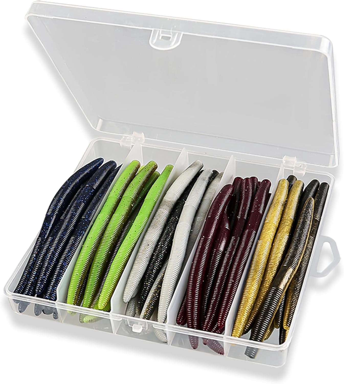 Box Worms