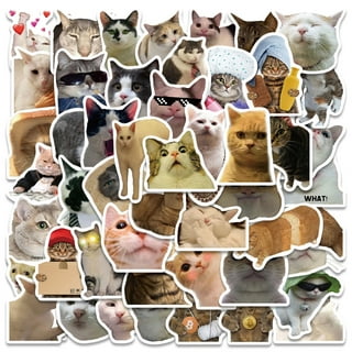 Sad Cat Meme Thumbs up With Heart Good Job Cat Sticker Cat Meme Sticker,  Sad Cat Meme, Cat Water Bottle Sticker, Cat Laptop Vinyl Stickers 