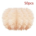 thumbnail image 1 of 50-Pack Floating Plume Feathers, 20-25cm Multicolor Natural Feathers for Wedding Centerpieces, DIY Hair Accessories & Craft Decorations, 1 of 2