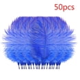 thumbnail image 1 of 50-Pack Floating Plume Feathers, 20-25cm Multicolor Natural Feathers for Wedding Centerpieces, DIY Hair Accessories & Craft Decorations, 1 of 3