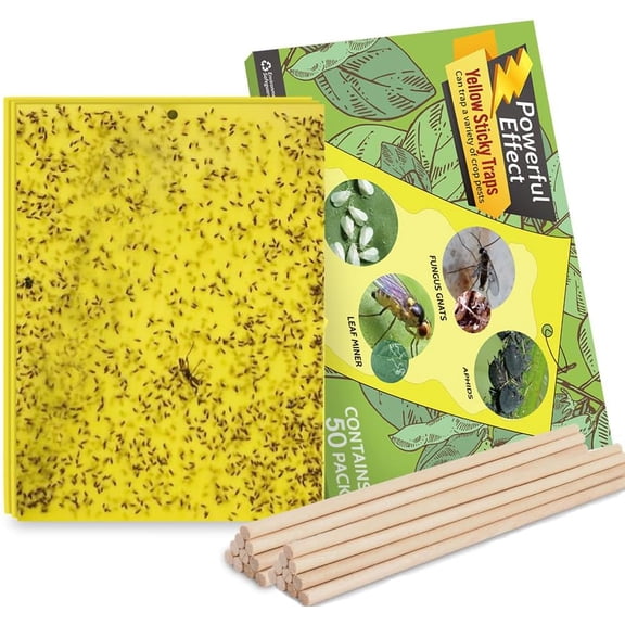 50-Pack Fruit Fly Trap, Yellow Sticky Gnat Traps Killer for Indoor/Outdoor Flying Plant Insect Like Fungus Gnats, Whiteflies, Aphids, Leaf Miners - 6x8 in, Twist Ties Included