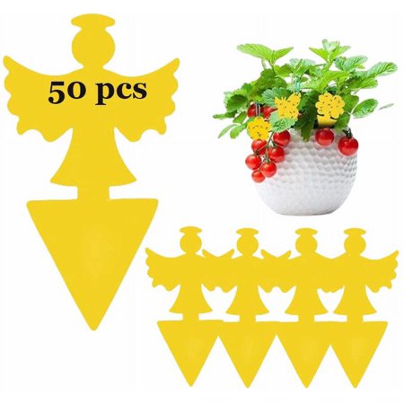 50 Pack Fruit Fly Traps, Sticky Fungus Gnat Traps, Non-Toxic and Odorless Insect Catcher for White Flies, Mosquitos, Fungus Gnats,Flying Insects(Angel)