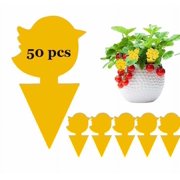 50 Pack Fruit Fly Traps, Sticky Fungus Gnat Traps, Non-Toxic and Odorless Insect Catcher for White Flies, Mosquitos, Fungus Gnats,Flying Insects(Chicken)