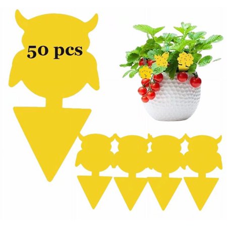 50 Pack Fruit Fly Traps, Sticky Fungus Gnat Traps, Non-Toxic and Odorless Insect Catcher for White Flies, Mosquitos, Fungus Gnats,Flying Insects(Demon)