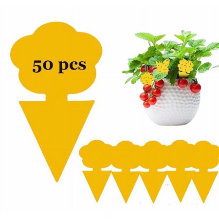 50 Pack Fruit Fly Traps, Sticky Fungus Gnat Traps, Non-Toxic and Odorless Insect Catcher for White Flies, Mosquitos, Fungus Gnats,Flying Insects(Flower C)
