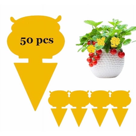 50 Pack Fruit Fly Traps, Sticky Fungus Gnat Traps, Non-Toxic and Odorless Insect Catcher for White Flies, Mosquitos, Fungus Gnats,Flying Insects(Pet dog)