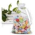 thumbnail image 1 of 50 Pack Organza Bags 4 x 6 inch Small Bags, Favor Bag, Sheer Mesh Bag, White Gift Pouches with Drawstring, Organza Favor Pouches, Packaging Pouch for Christmas Wedding Party Easter Candy, 1 of 7