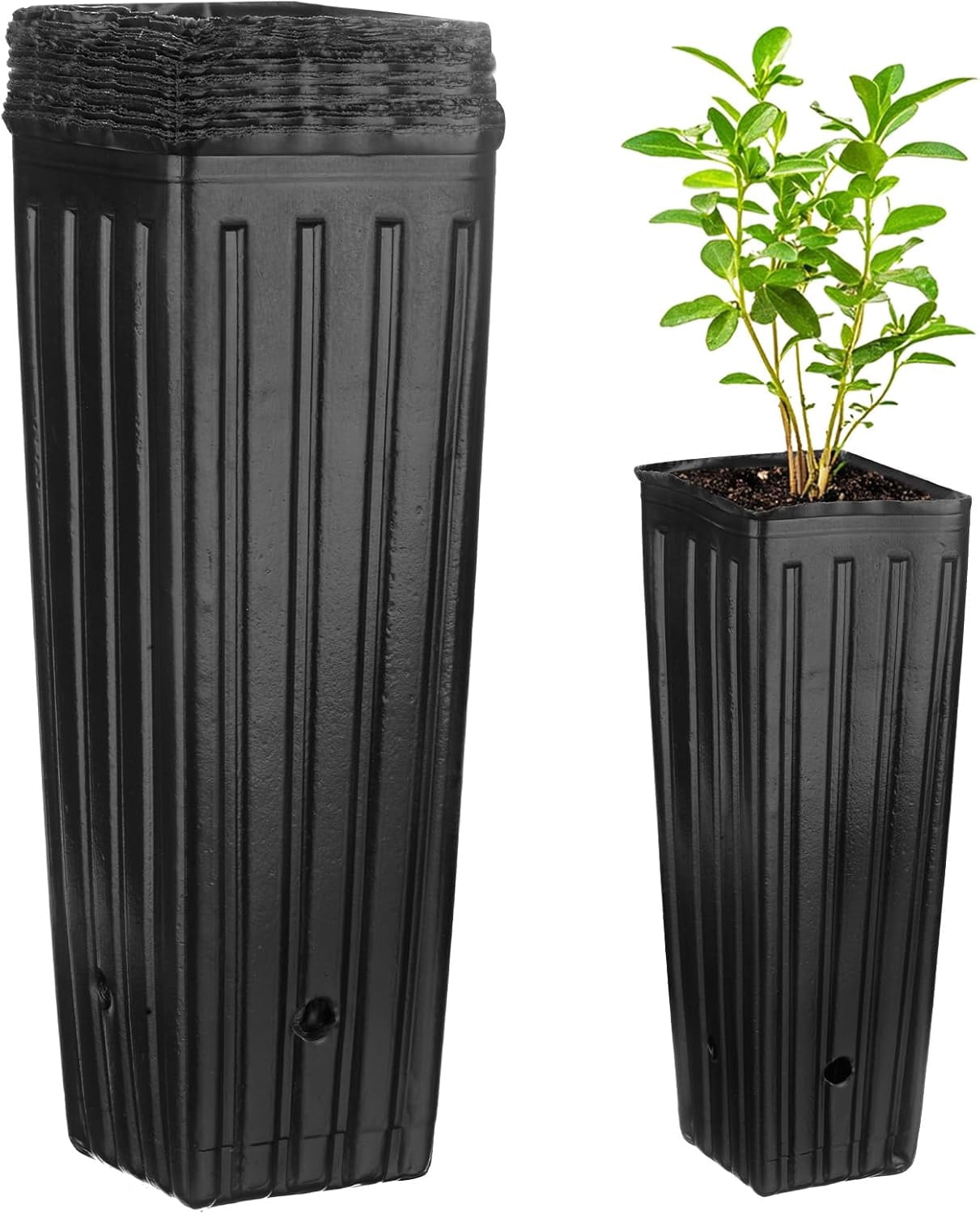 50-Pack Plant Nursery Pots, 3.94x3.94x11.81 Inch Plastic Deep Growing Nursery Pots Succulent Planter Flower Tree pots with Drainage Holes for Indoor Outdoor Gardening [Black]