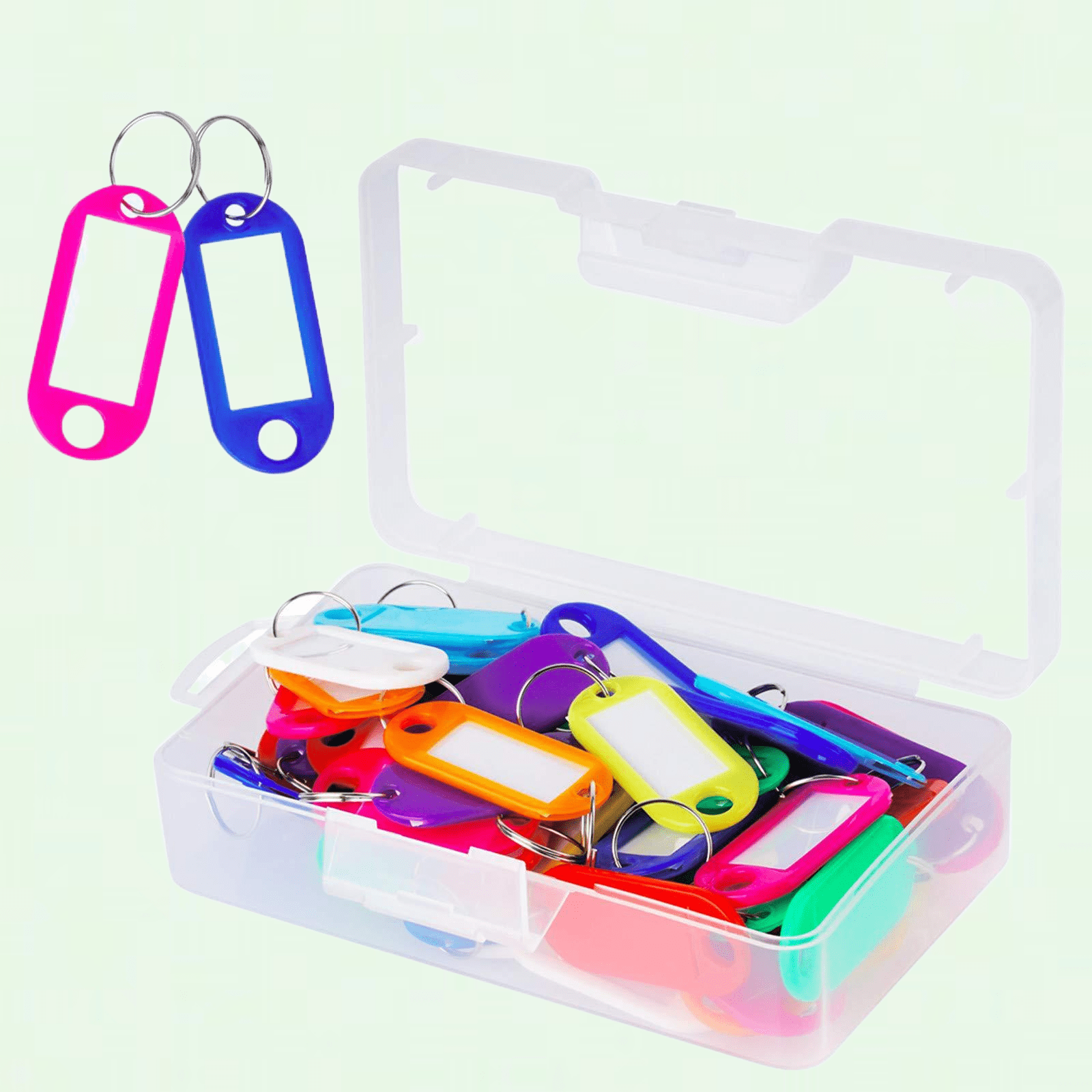 50 Pack Multicolor Plastic Key Tags with Container and Label Window
