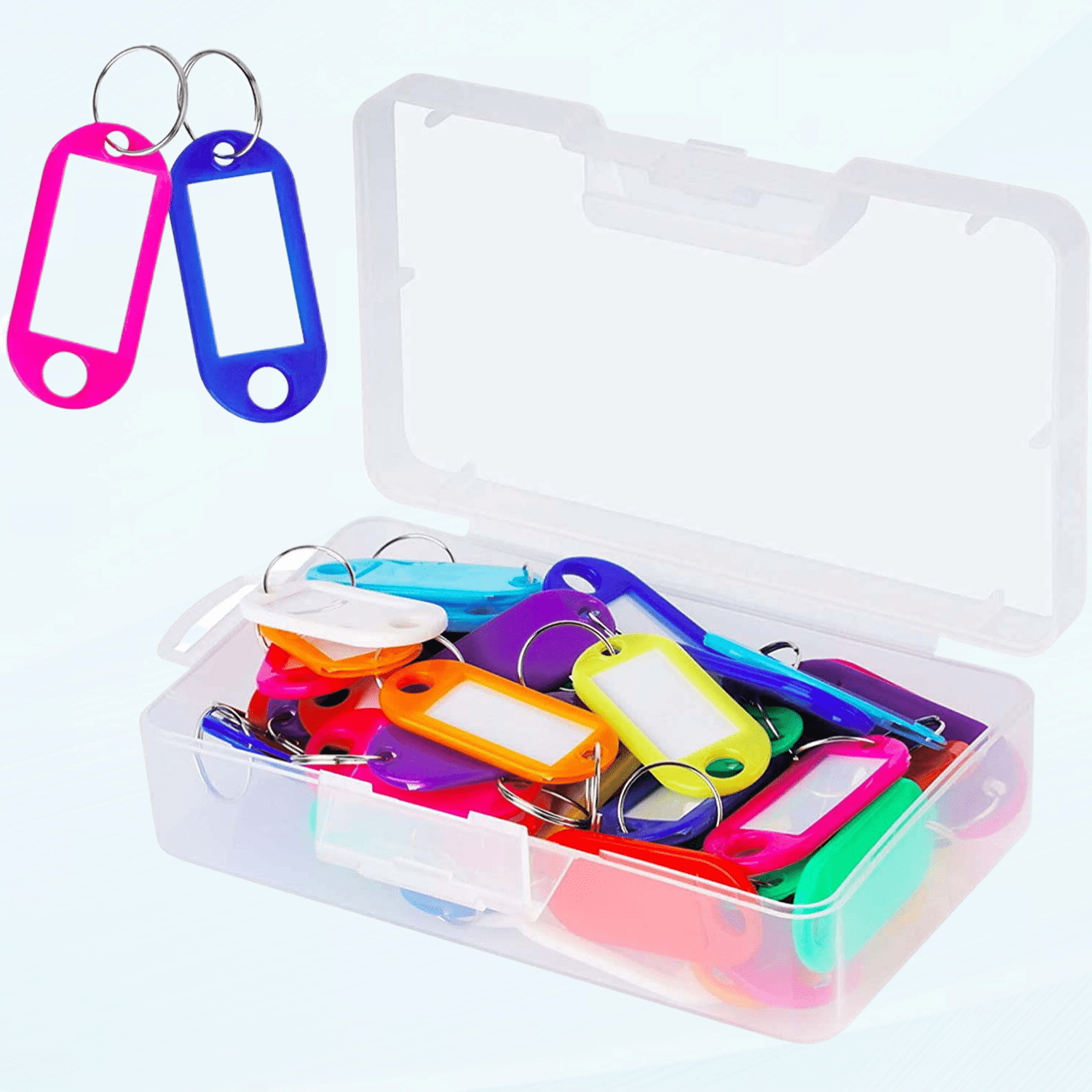 50 Pack Multicolor Plastic Key Tags with Container and Label Window